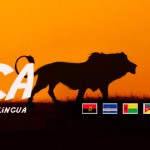 POR DENTRO DA ÁFRICA