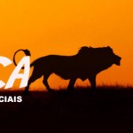 POR DENTRO DA ÁFRICA