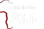 Por dentro da África