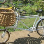 bike com cesta 2