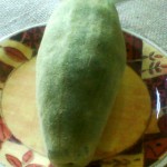 Fruto do baoba 2