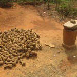 ABOMEY 8