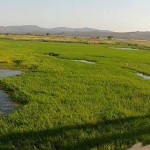 Rio Zambeze visto da Ponte Dona Ana em Sofala, Moçambique – Registro do leitor Paulo Borges Nunes — em Moçambique.