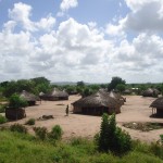 Sena, Moçambique – Registro do leitor Raul Tomé — em Moçambique.