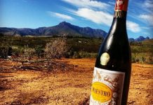 África do Sul: Conheça a vinícola onde as uvas são cultivadas ao som de música erudita