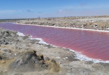 Foto do dia de Walvis Bay, Namíbia