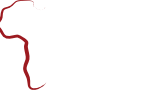 PDDA