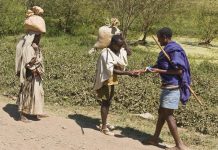 Estudo revela a importância dos rituais de saudação nas sociedades agrárias africanas