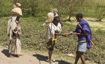 Estudo revela a importância dos rituais de saudação nas sociedades agrárias africanas