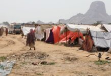 Sudão vive crise de fome e violência sexual em meio a guerra prolongada